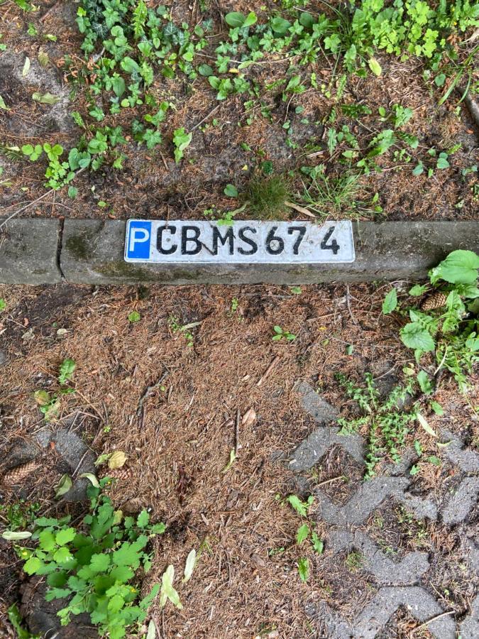 Schoene Ferienwohnung Mit Kostenlosem Parkplatz コットブス エクステリア 写真
